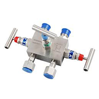 Manifold